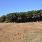 site prep