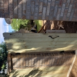 Reconstruction/Masonry