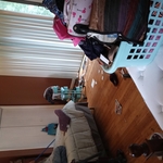 ROOM BEFORE BEING CLEANED