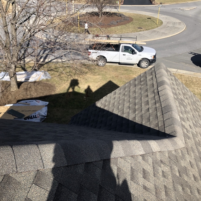 Shingles roof