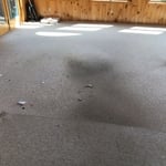 Carpet Cleaning