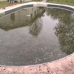 vinly pool