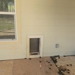 doggy door before removal
