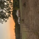 Fence