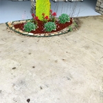 Our work