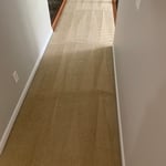 High traffic areas cleaning