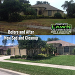 New Sod