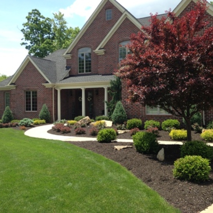 Mulch/Rock/Planting