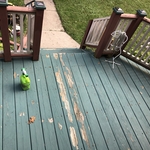 Deck repaired and stained