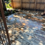 Our Work