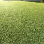 Our work