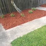 Our work
