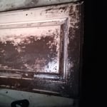 first removal