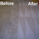 Carpet cleaning grooming