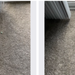 Pet Damage Repair