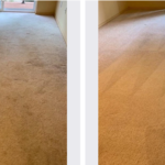 Before and After