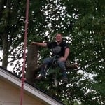 Tree removal