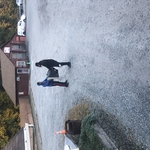 Hauling It Off