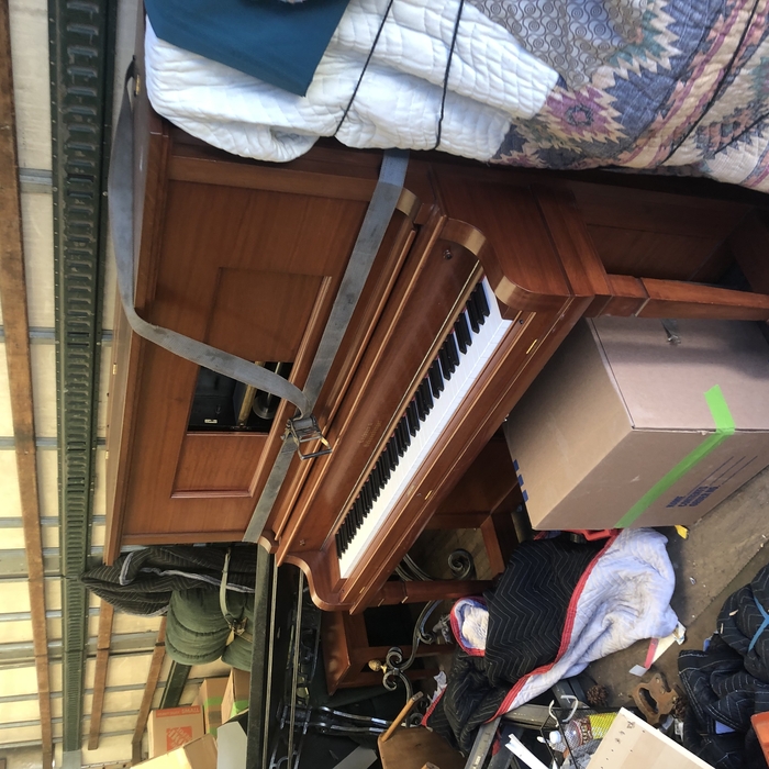 800 pound playing piano