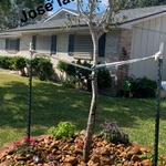 Raised island garden bed
