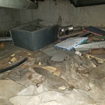 Crawlspace - Before 2
