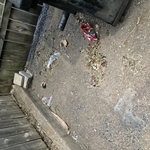 Dumpster pad before