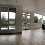 Window Cleaning