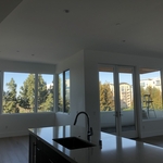 Window Cleaning