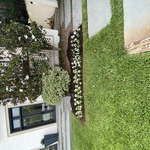Lawn Care