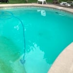 Algae clean-up