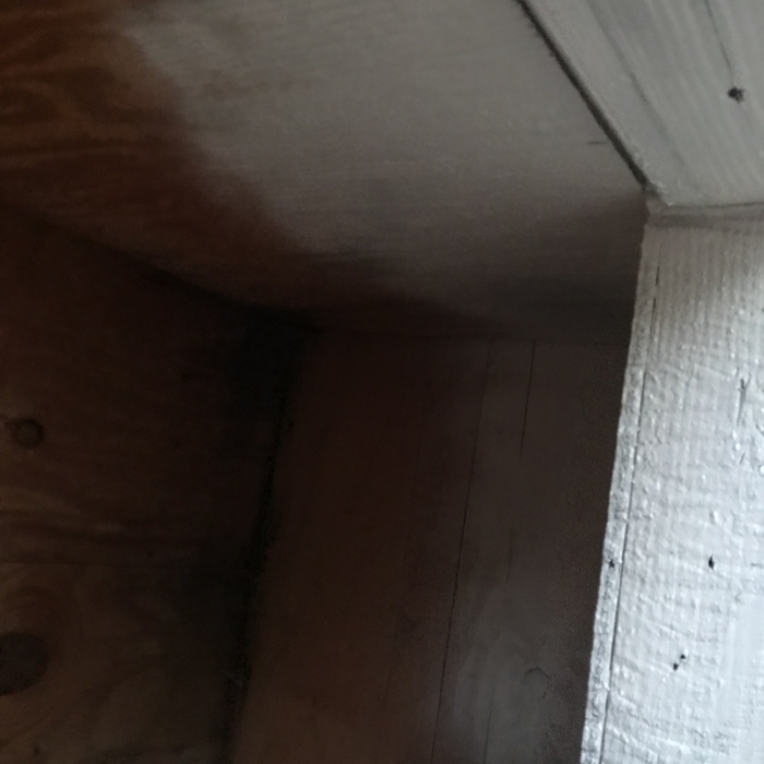 Hive removed