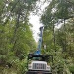 Pruning Branches