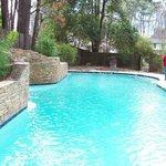 Pool Renovation for House Hunters Show