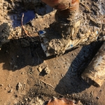 Broken tee on lateral