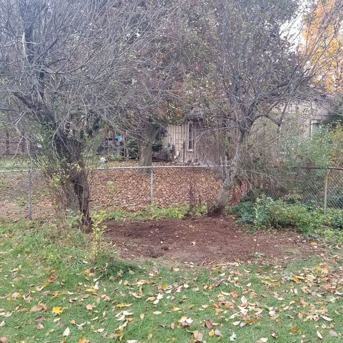 Tree Trimming