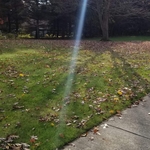 Leaf Cleanup