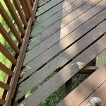Waterford Deck Rebuild and Wash