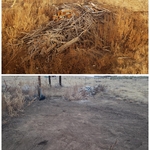 Daryl A. Before/After 2/2