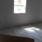 Flooring and Paint