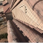 Pigeons Making a Mess? We Can Help!