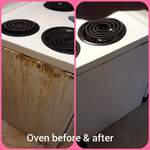 appliance cleaning