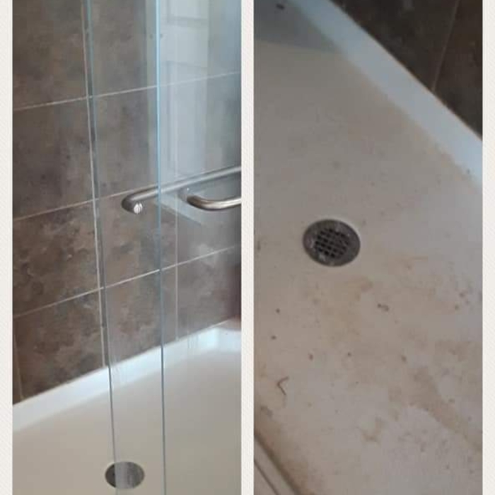 shower cleaning