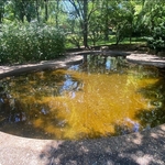 Concrete Pool Opening