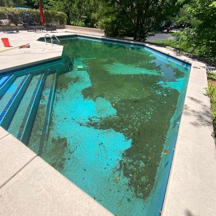 Pool Cleaning