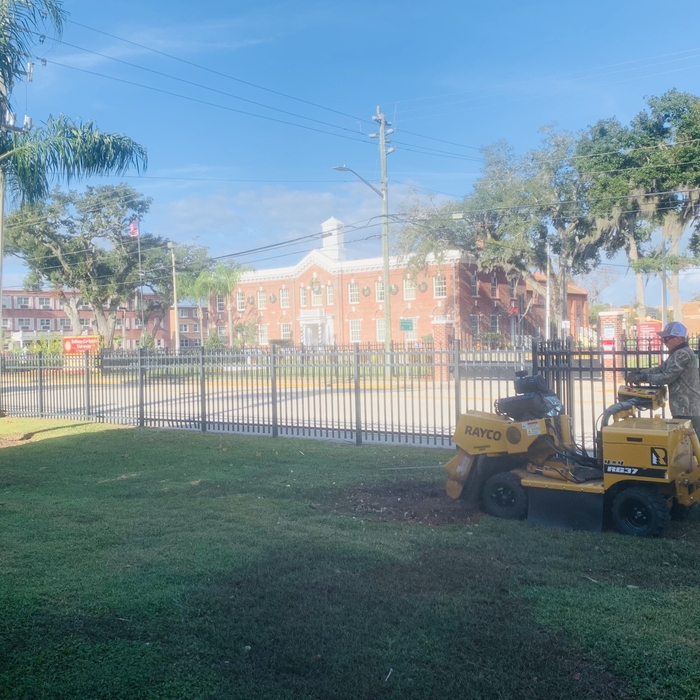 Bethune Cookman University