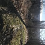 Gravel Driveway