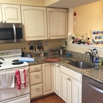 Arlington Kitchen Remodel