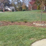 Mulch