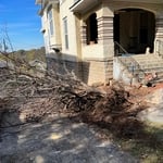 98 year old exterior