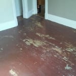 Painted Floor